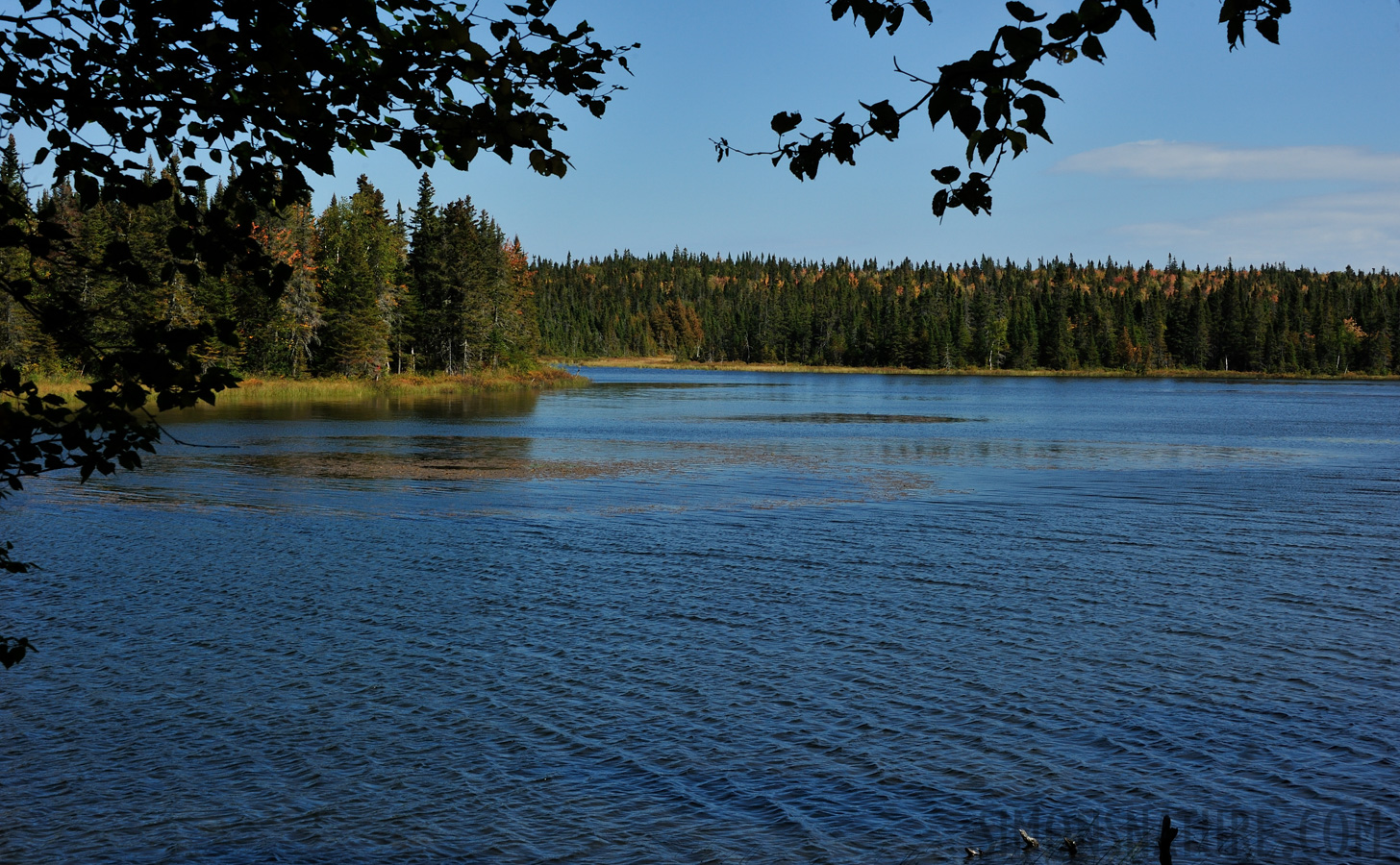 Parc National Forillon [55 mm, 1/400 Sek. bei f / 16, ISO 400]